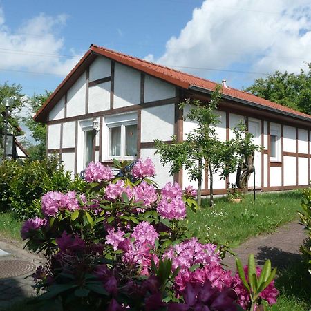Ferienhaus Kogge Im Feriendorf Alt Bachenbrock ภายนอก รูปภาพ